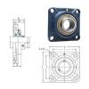 Bearing UCFX05-16E FYH #1 small image