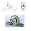 Bearing UCP307 CRAFT #1 small image