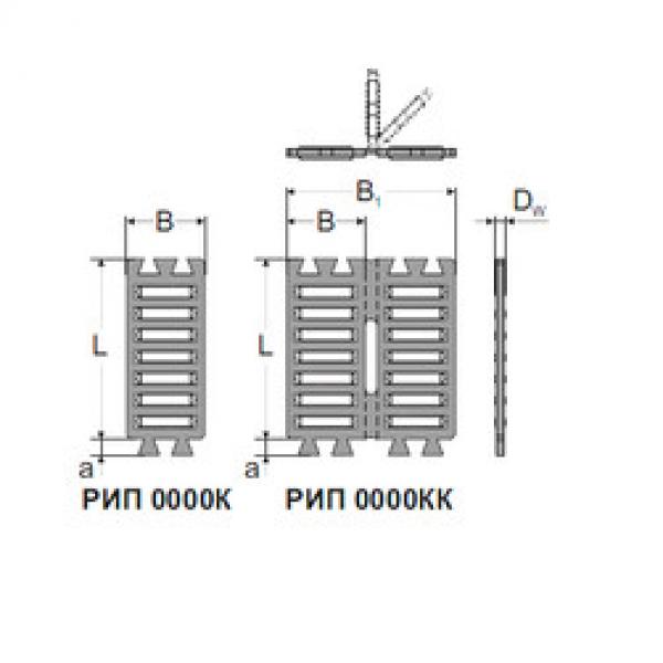 Bearing FF 2025 ZW MPZ #5 image