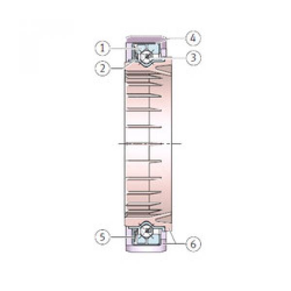 Bearing F-210163.8 INA #5 image