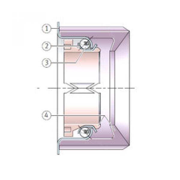 Bearing F-205879.3 INA #5 image