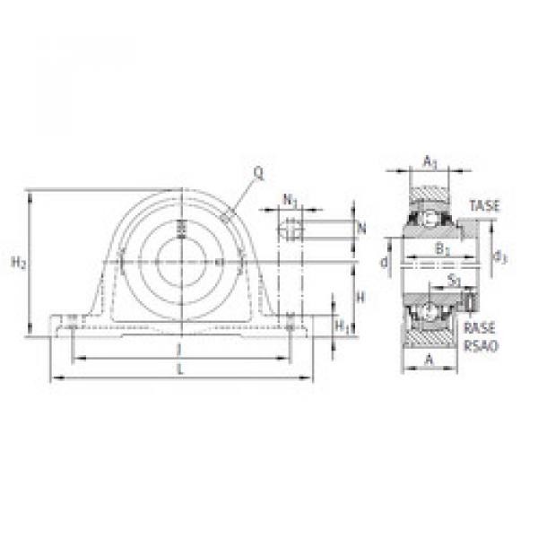 Bearing RASE20-FA164 INA #1 image