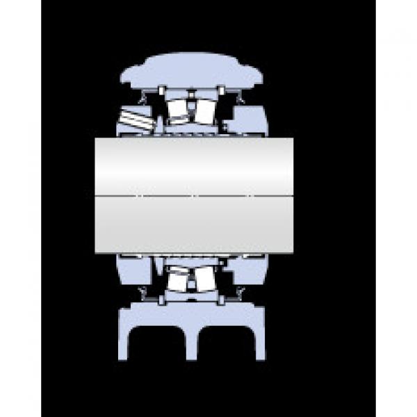 Bearing SYNT 100 F SKF #1 image