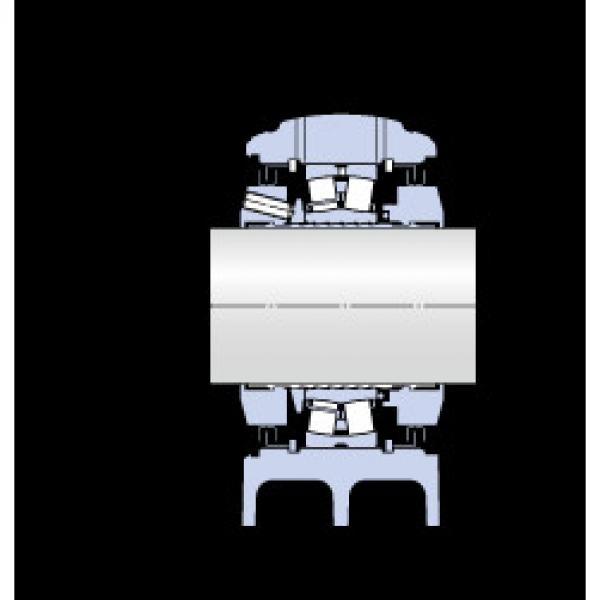 Bearing SYNT 100 LTS SKF #1 image