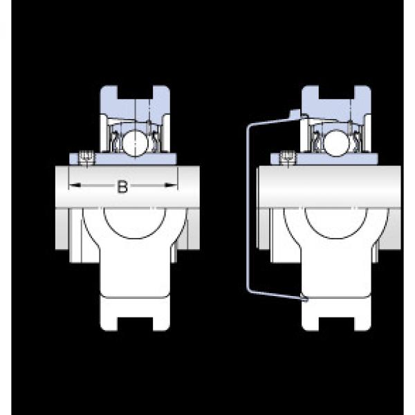 Bearing TU 1.1/4 TF SKF #1 image