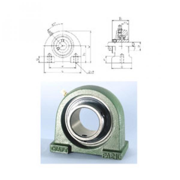 Bearing UCPA203 CRAFT #1 image